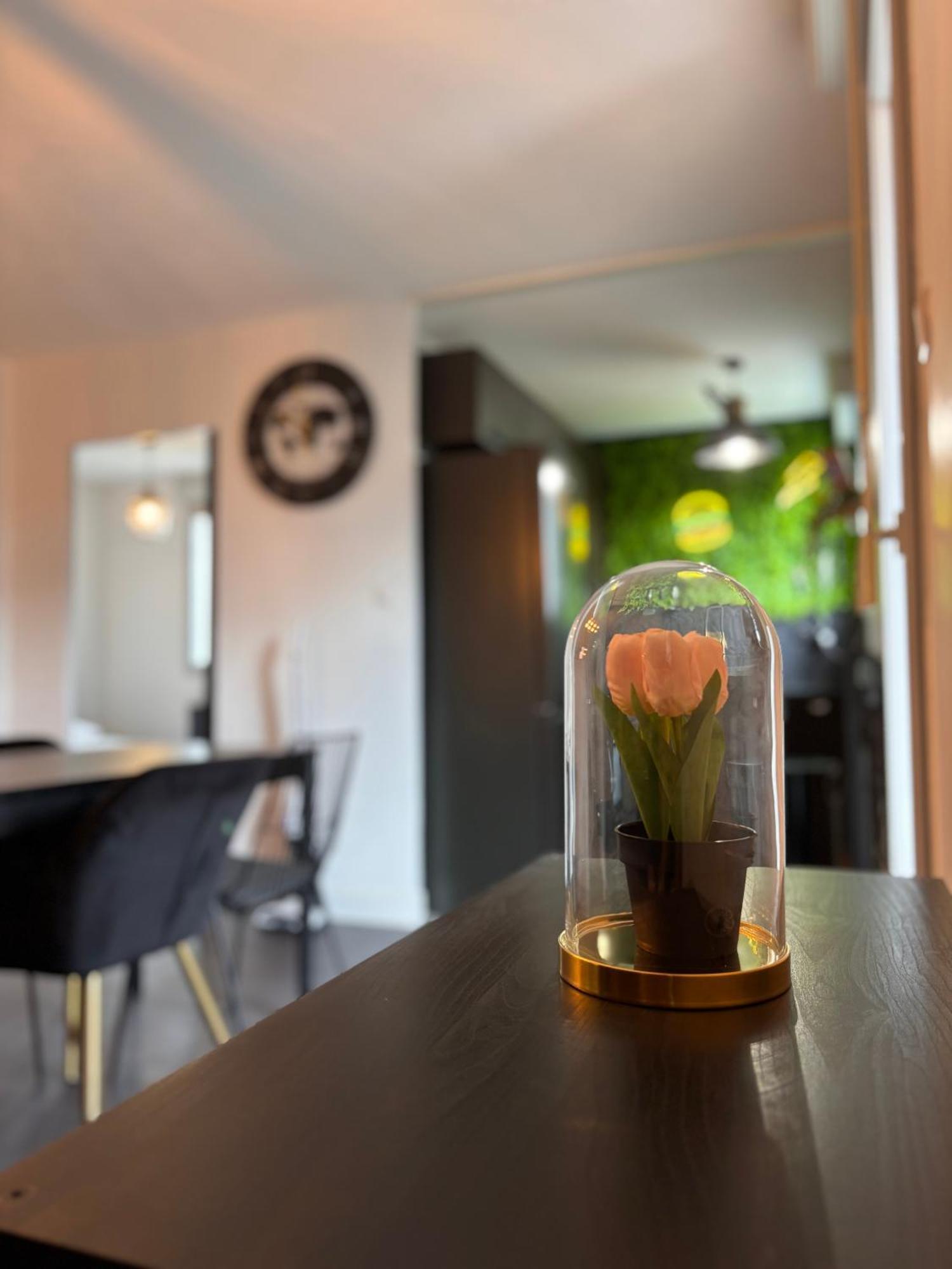 Charmant Appartement Toulouse Eksteriør bilde